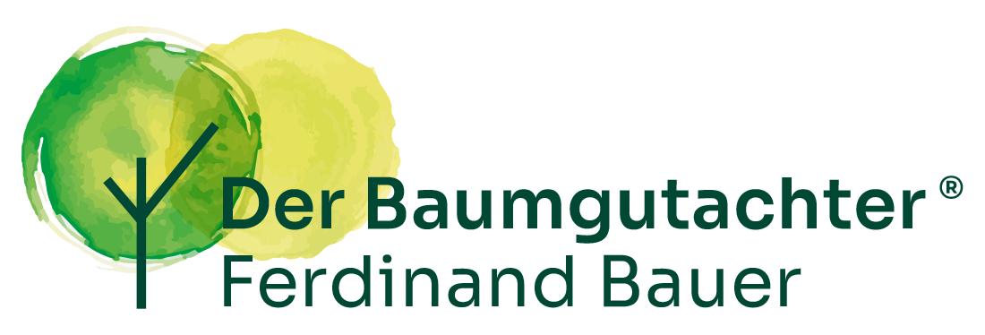 Der Baumgutachter Ferdinand Bauer